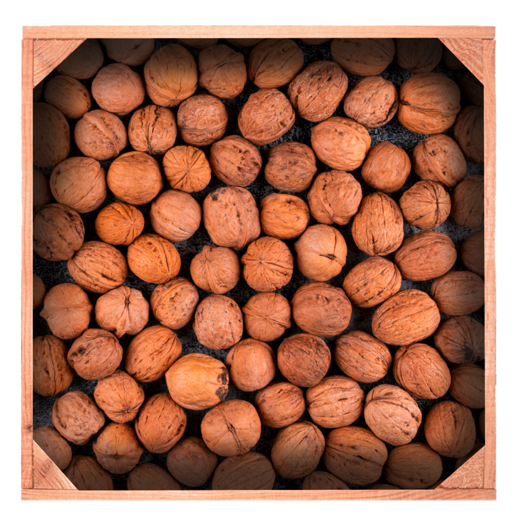 Red Rhino Walnüsse 10 kg