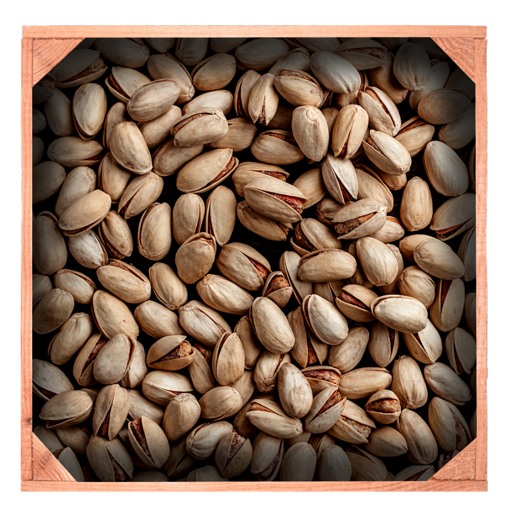 Red Rhino Pistazien, geröstet und gesalzen 2 kg – Red Rhino Nüsse Red Rhino Pistazien, geröstet und gesalzen 2 kg – Red Rhino Nüsse